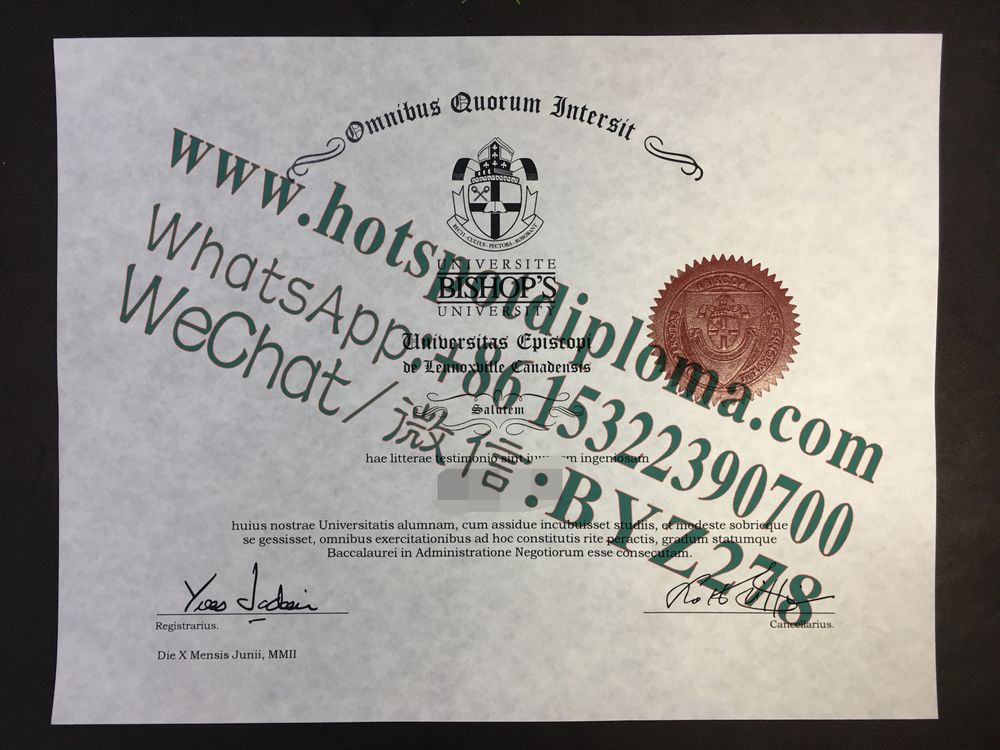 's University Diploma certificate 's University Diploma certificate