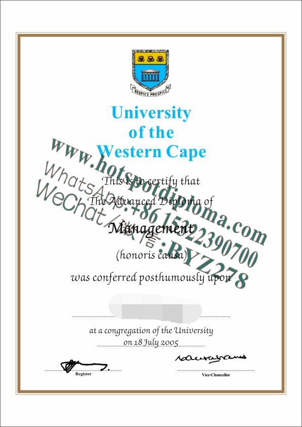 Buy fake University of the Western Cape Diploma