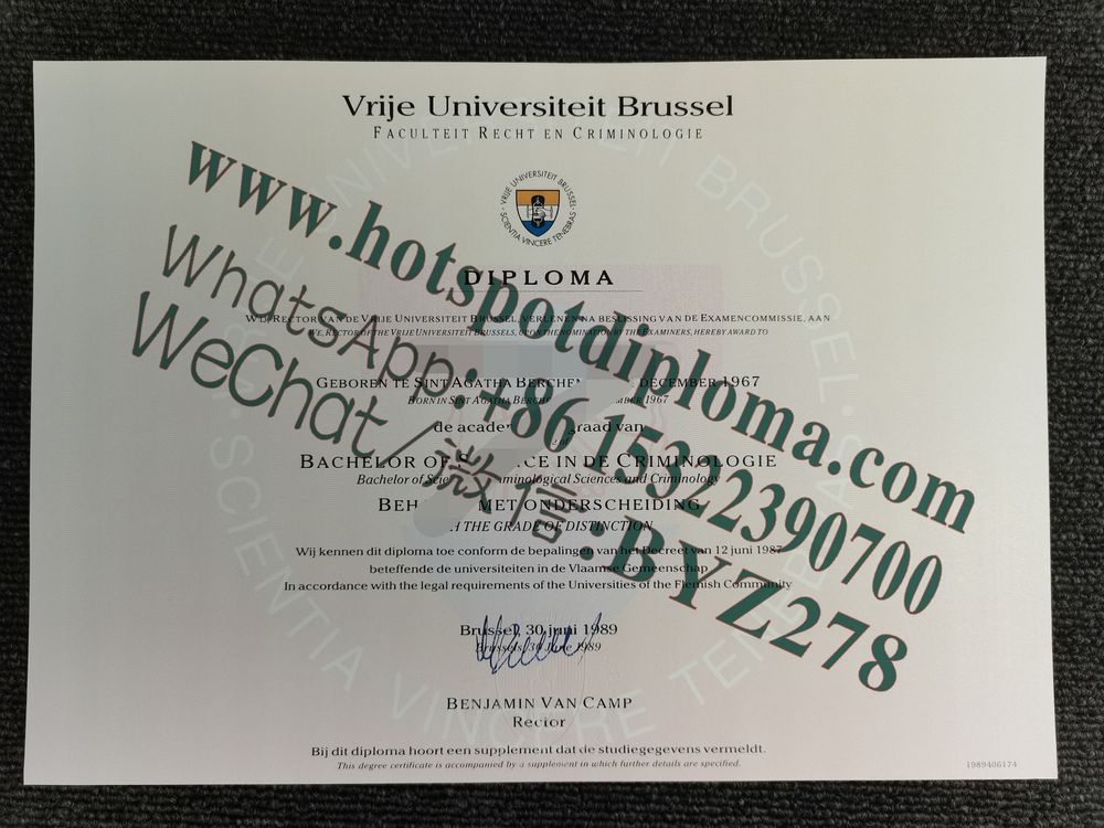 Buy fake Vrije Universiteit Brussel  Diplom