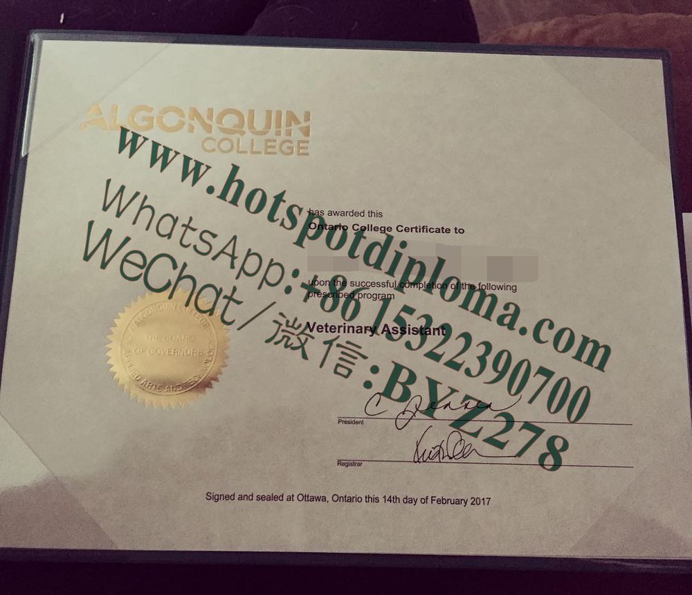 Fake Algonquin College Diploma template certificate Fake Algonquin College Diploma template certificate