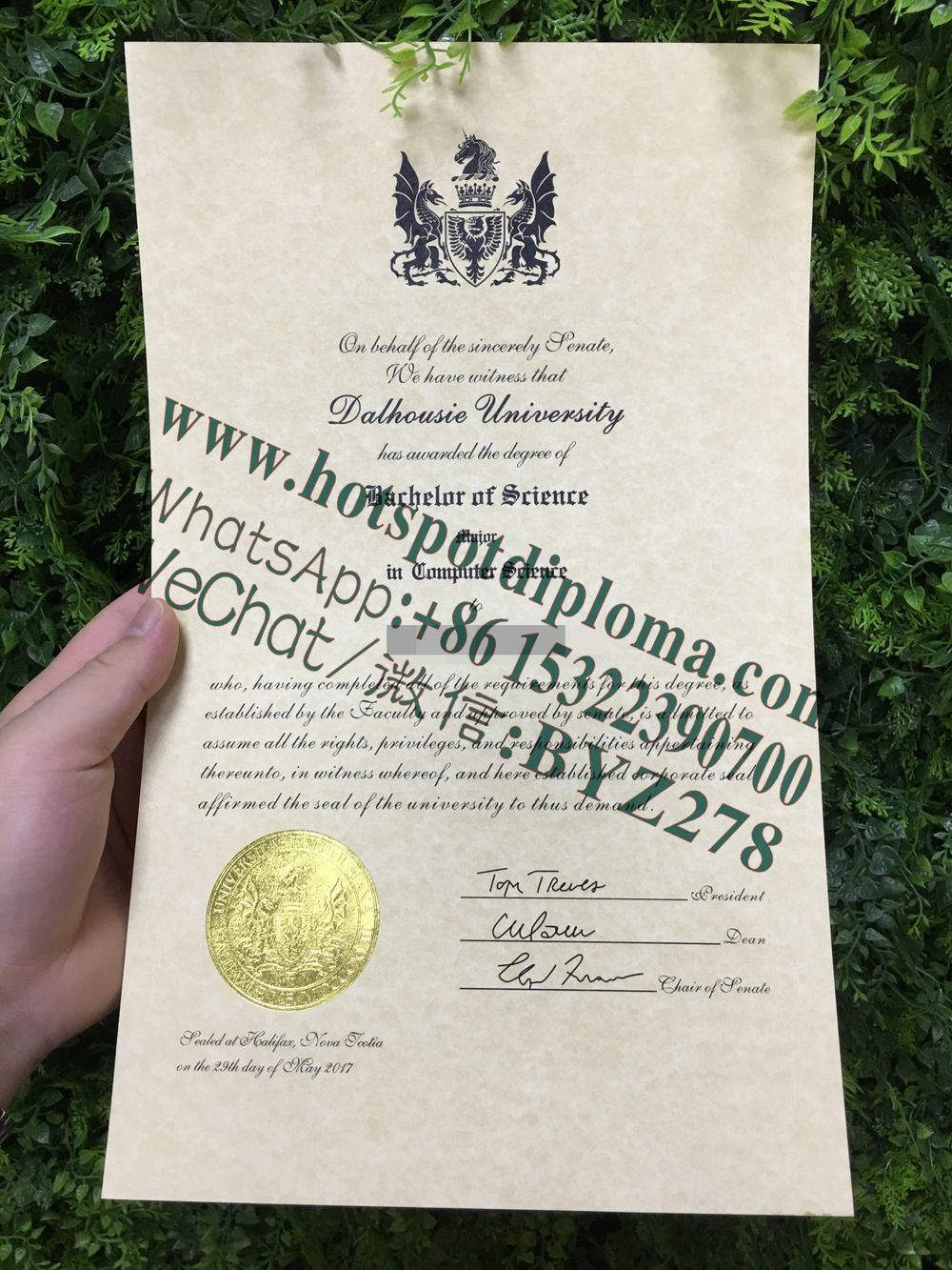 'House University certificate 'House University certificate