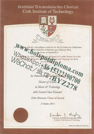 Fake Fake Diploma of Cork Institute of Technology certificate