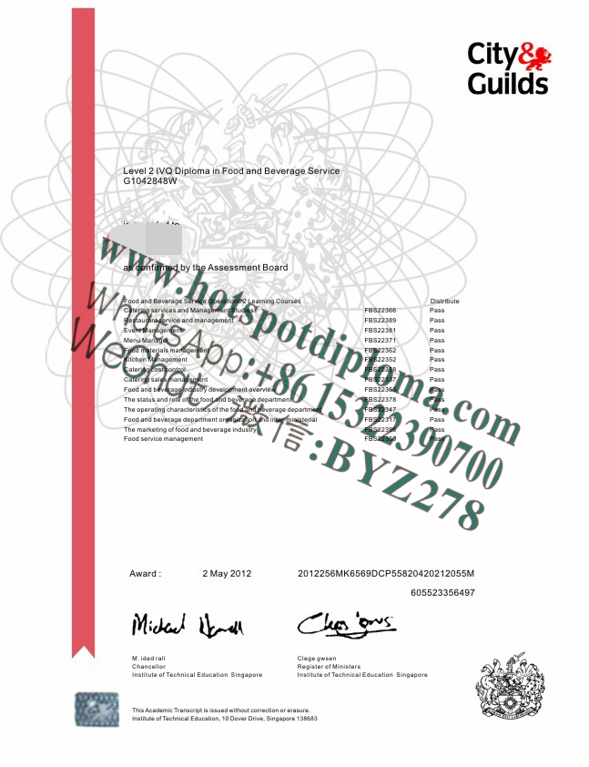 Fake Institute of Technical Education Singapore  Diploma transcript