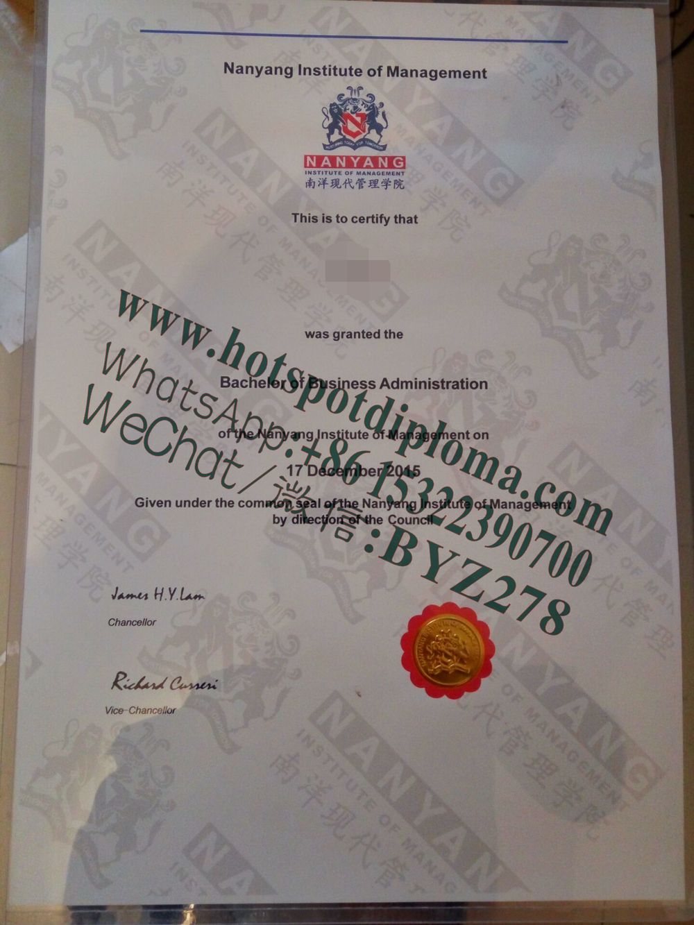 Fake Nanyang Institute of Management Diploma sample transcript