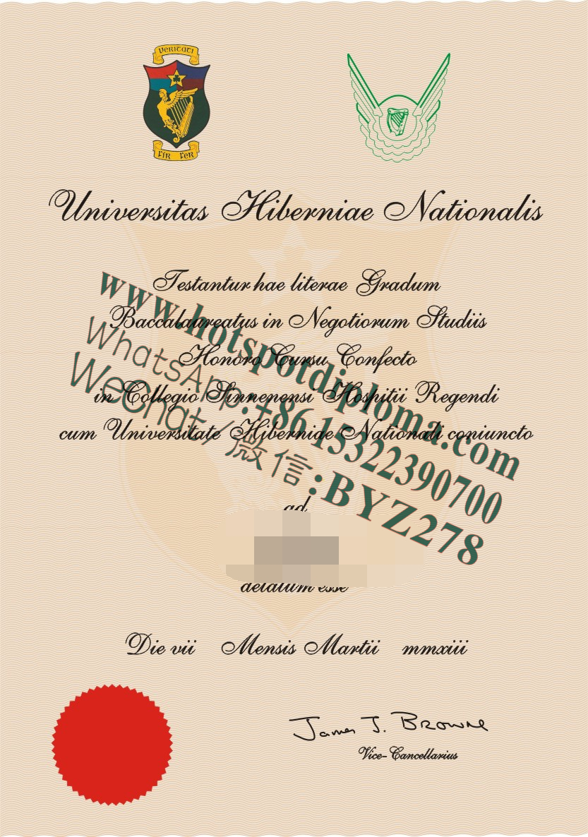 Fake National University of Ireland Diploma certificate