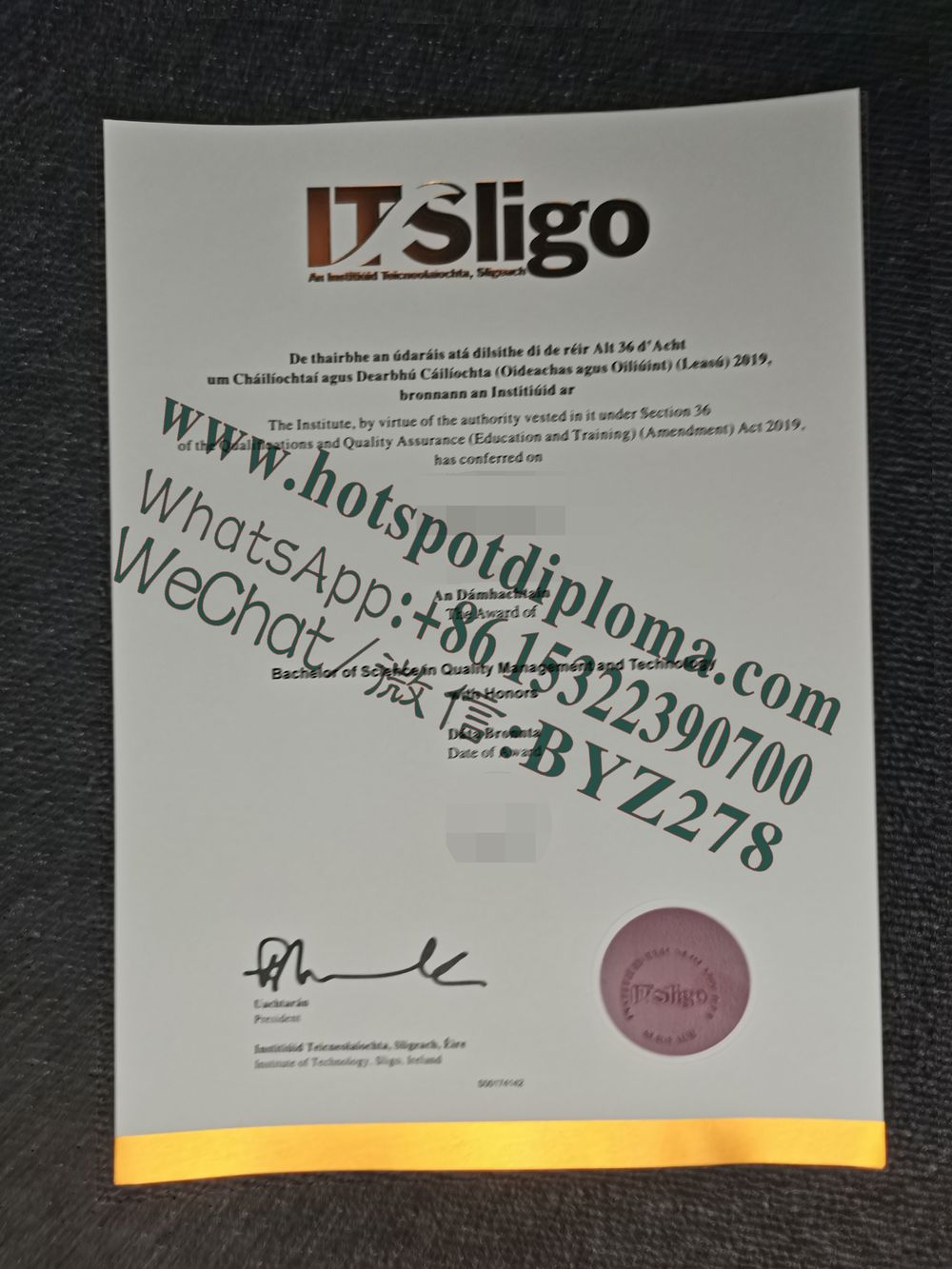 Fake Sligo Institute of Technology Diploma certificate
