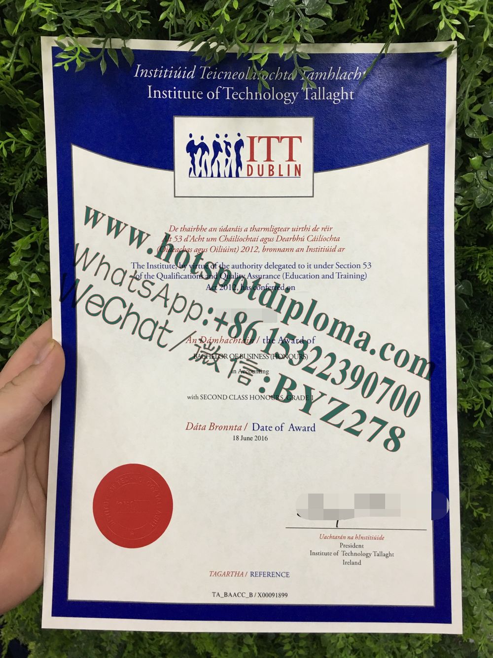 Fake Tara Polytechnic Diploma certificate