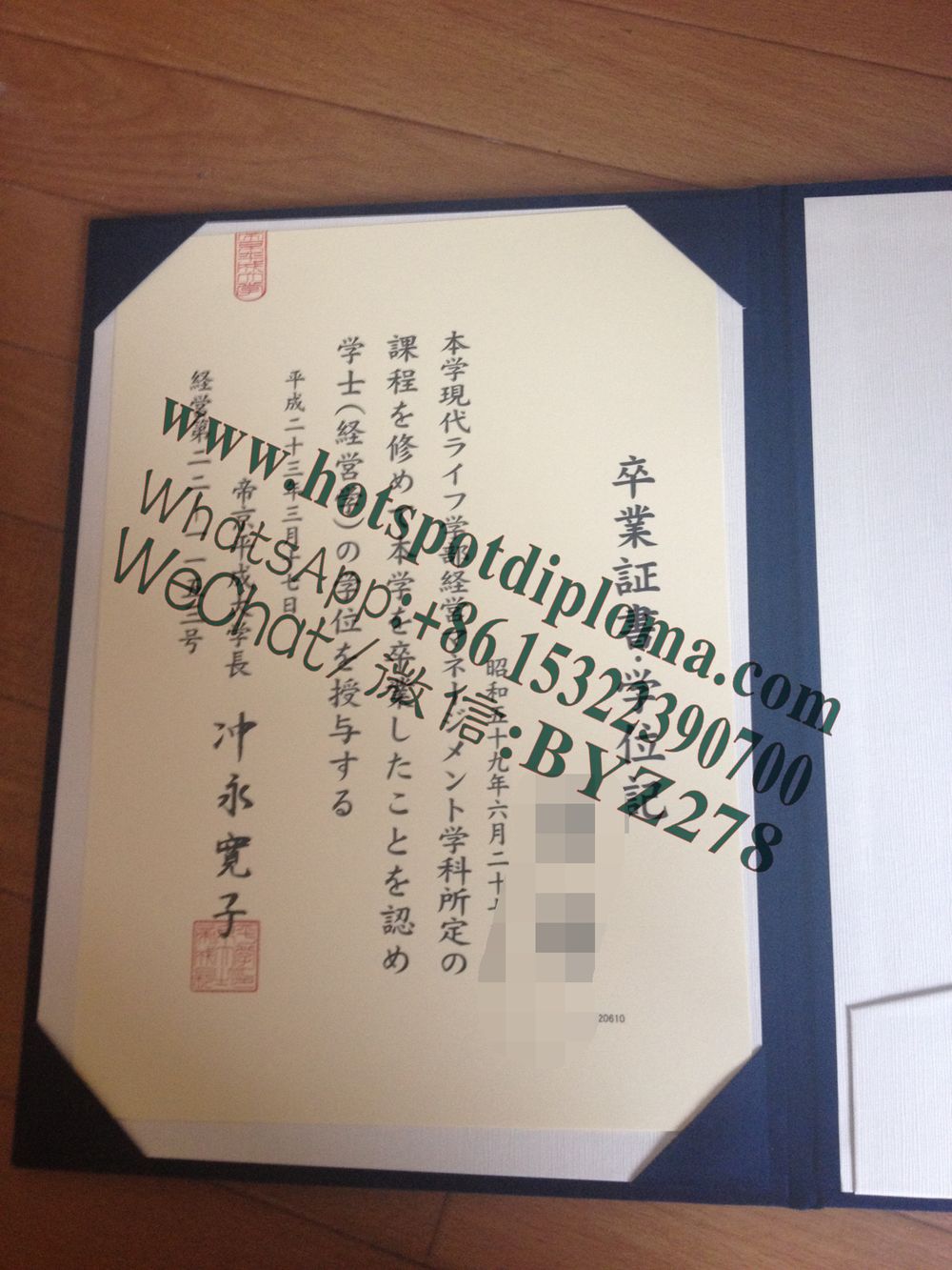 Fake Teikyo Heisei University Diploma degree