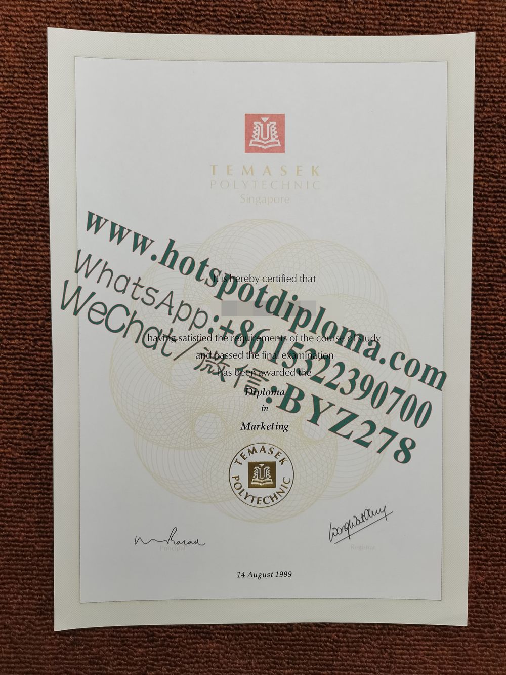 Fake Temasek Polytechnic Diploma transcript