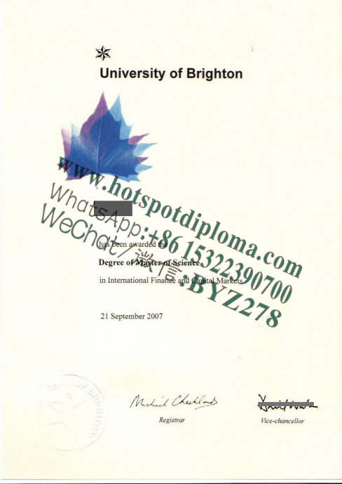 Fake University of Brighton  Diploma certificate certificate