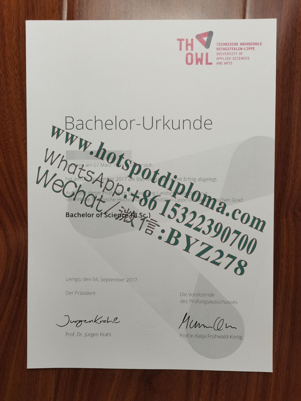 How Buy Lemgo University of Technology Diploma certificate