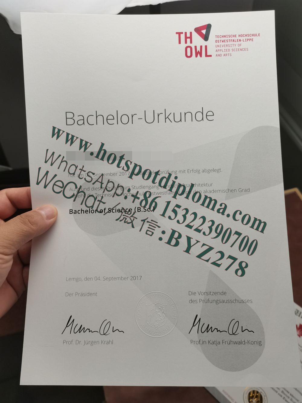 How Buy Management University of East Westphalia Lippe Diploma certificate