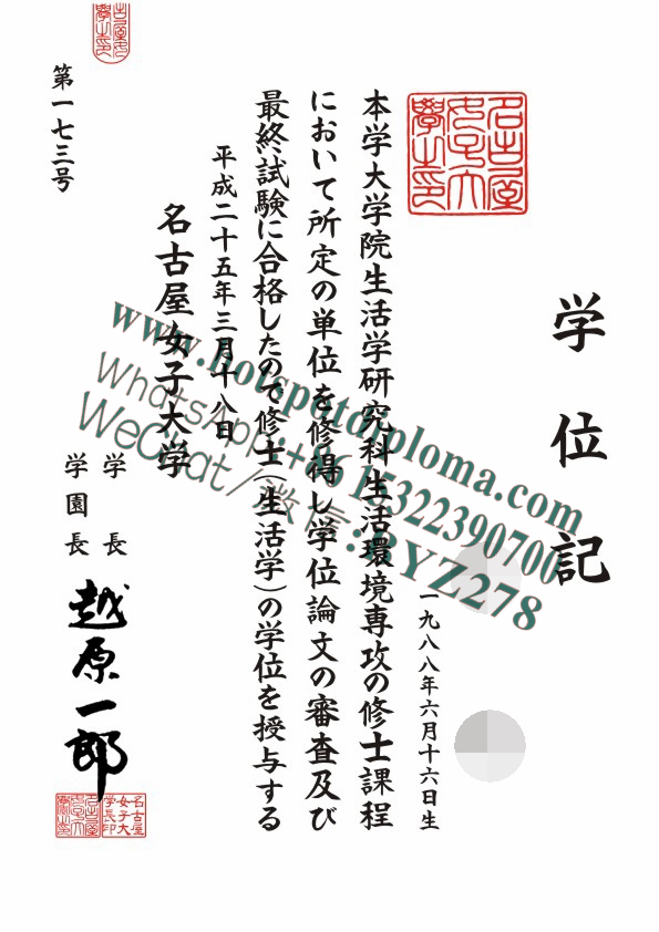 's University Diploma