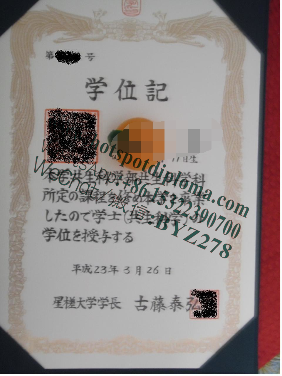 Make fake Seisa University Diploma