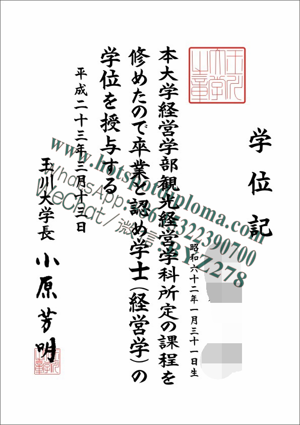 Make fake Tamagawa University Diploma sample