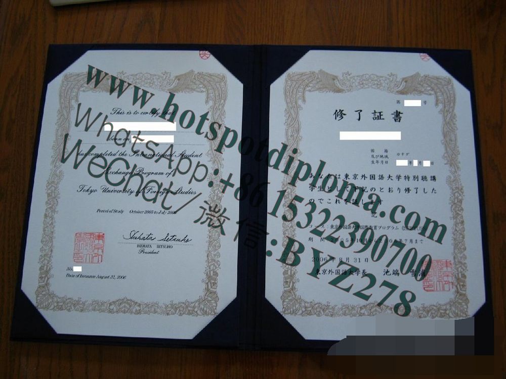 Make fake Tokyo University of Foreign Studies Diploma