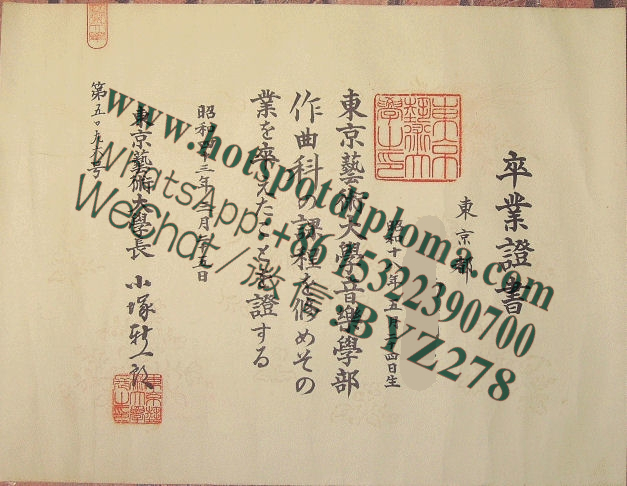 Make fake Tokyo University of the Arts Diploma
